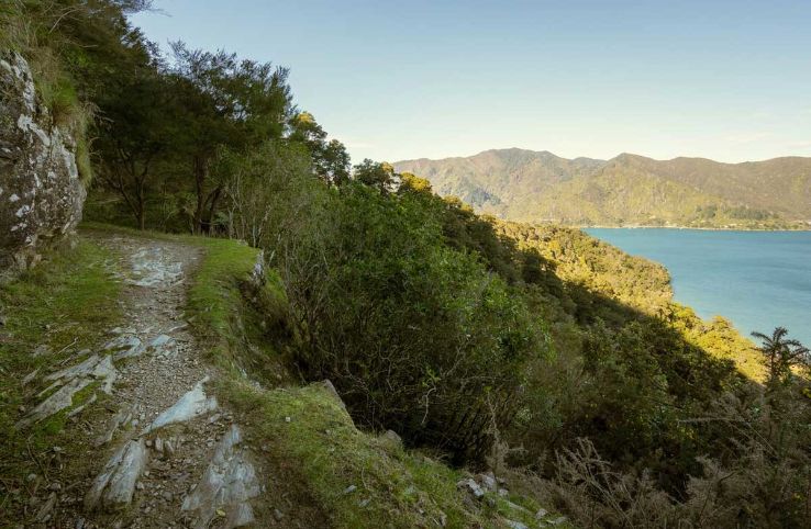 Queen Charlotte Track Trip Packages