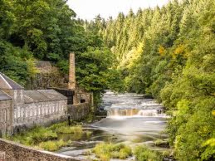 Falls of Clyde  Trip Packages