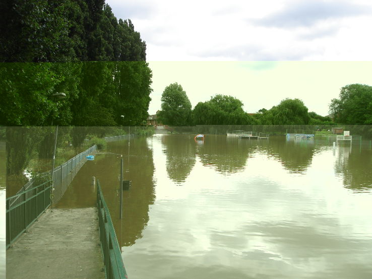 Clyde Valley Woodlands National Nature Reserve Trip Packages