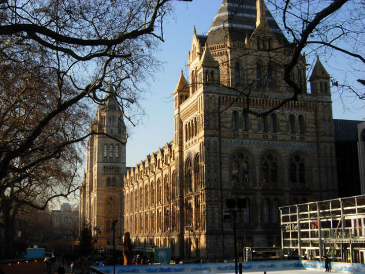 Natural History Museum Trip Packages