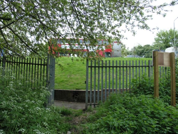 Mill Hill Old Railway Nature Reserve Trip Packages