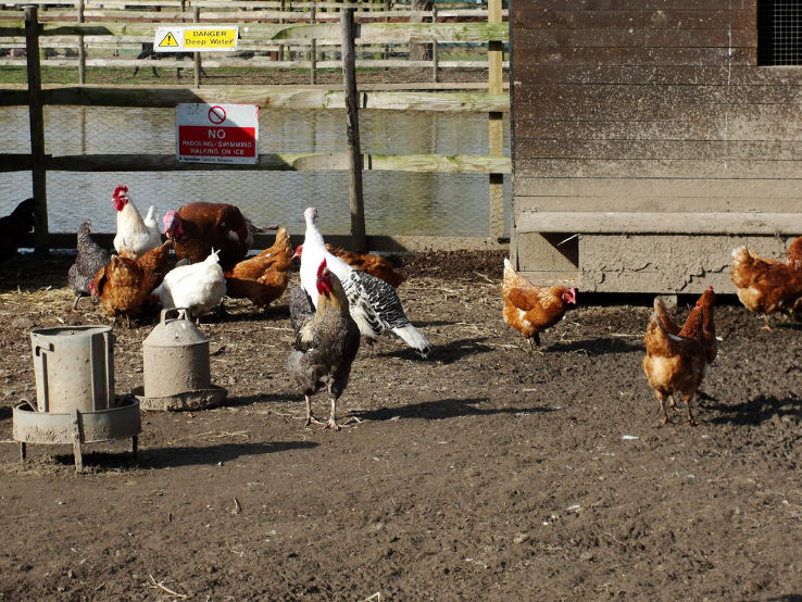 Feltham Trip Packages