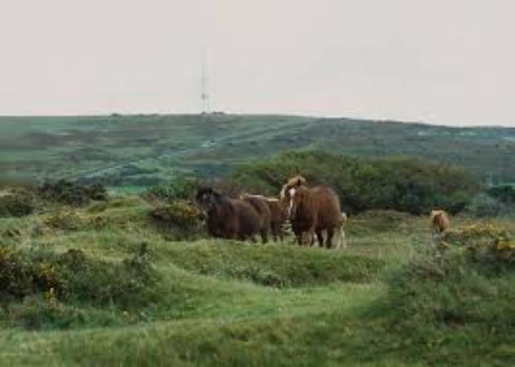 Pencarrow Trip Packages