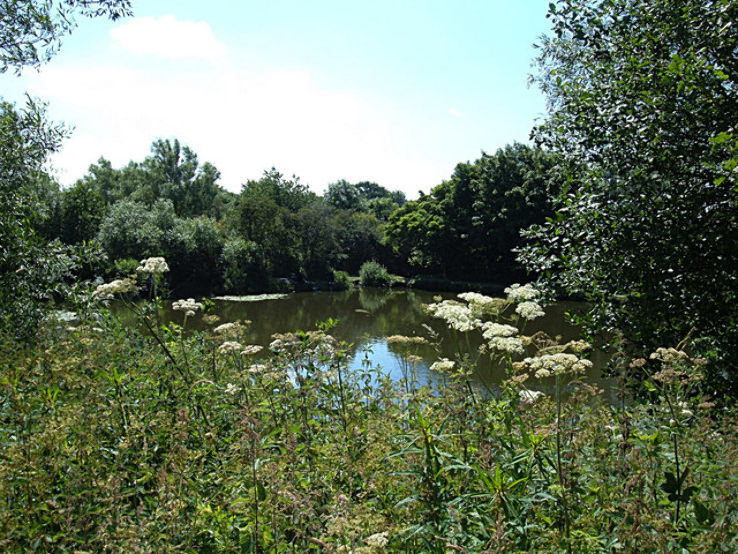 Daisy Nook Country Park Trip Packages