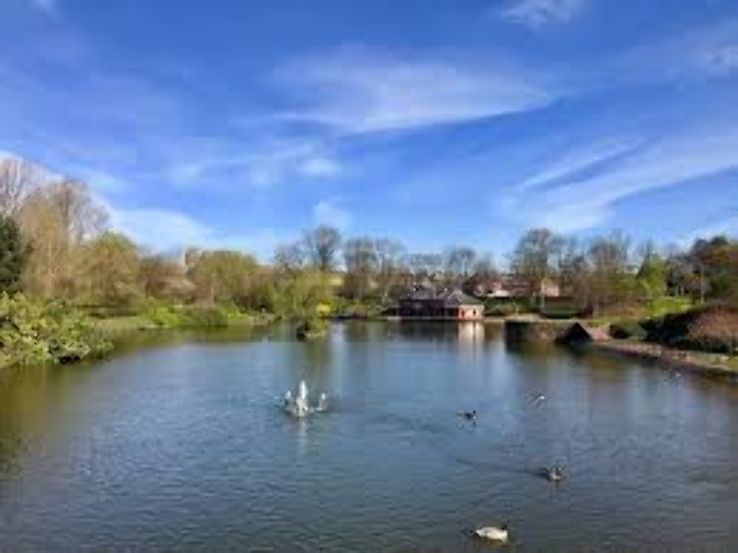 Alexandra Park Trip Packages