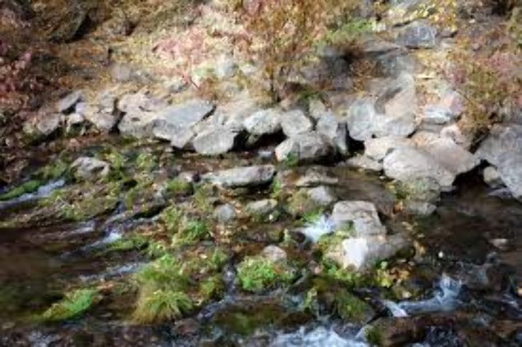 Drinkwater Park Trip Packages