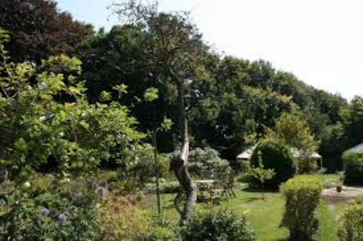 Max Gate Trip Packages