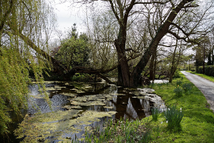 Frays Island Nature Reserve Trip Packages