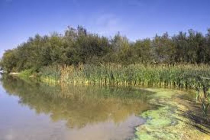 Stanwick Lakes Trip Packages