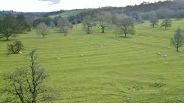 Ilam Park     Trip Packages