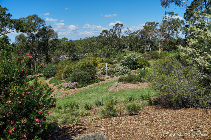 Brisbane Botanic Gardens  Trip Packages