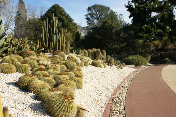 Geelong Botanic Gardens Trip Packages