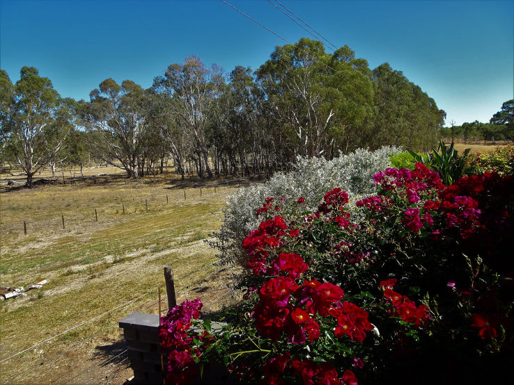 Horsham Regional Art Gallery Trip Packages