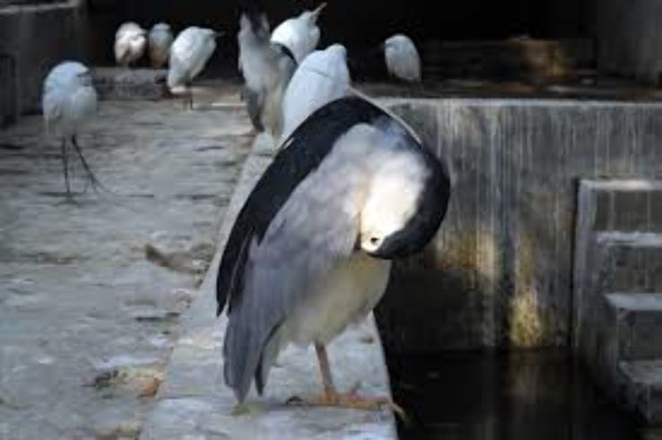 Chittagong Zoo Trip Packages Chittagong Zoo Trip Packages