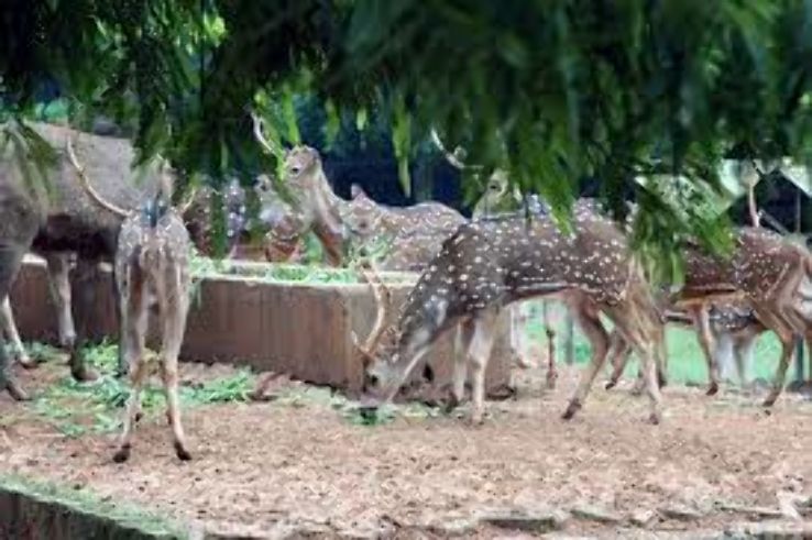 Bangladesh National Zoo Trip Packages
