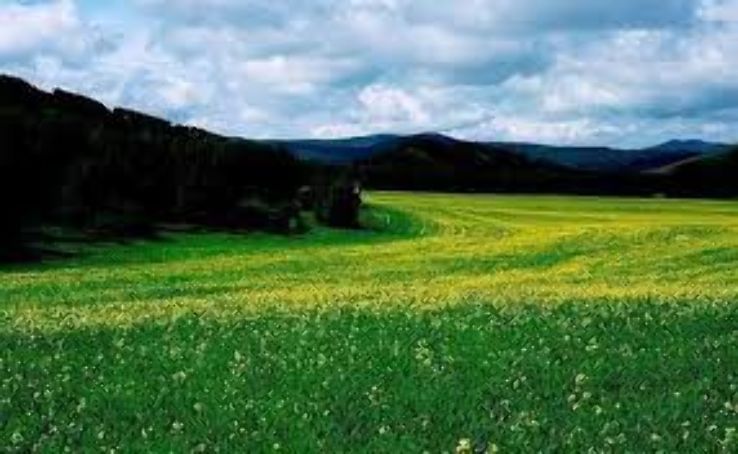 Saihanba National Forest Park       Trip Packages