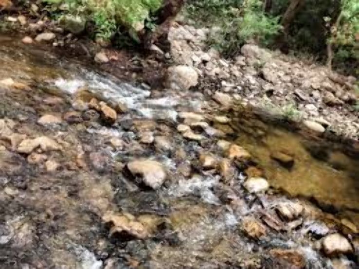 Ubbalamadugu Falls Trip Packages