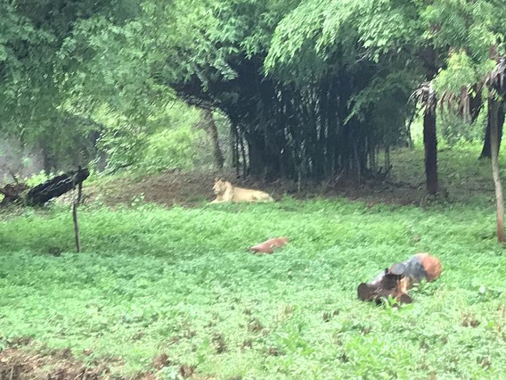 Indra park Trip Packages Indra park Trip Packages