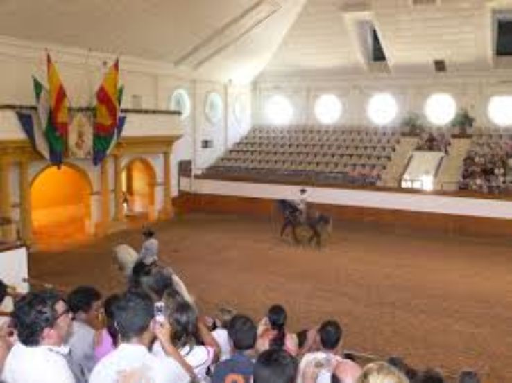 Royal Andalusian School of Equestrian Art Trip Packages
