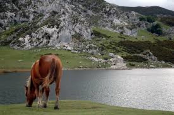 Lakes of Covadonga Trip Packages