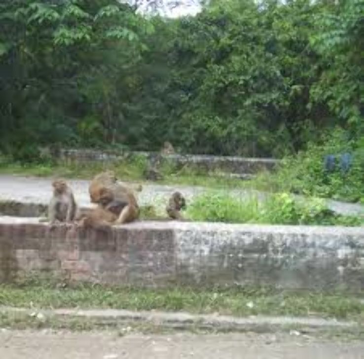 Manda Zoo park Trip Packages
