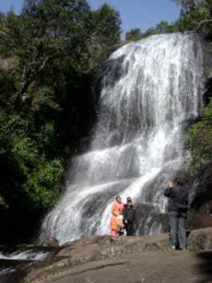 Bear Shola Falls   Trip Packages