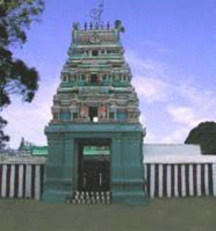 Kurinji Andavar Murugan Temple Trip Packages