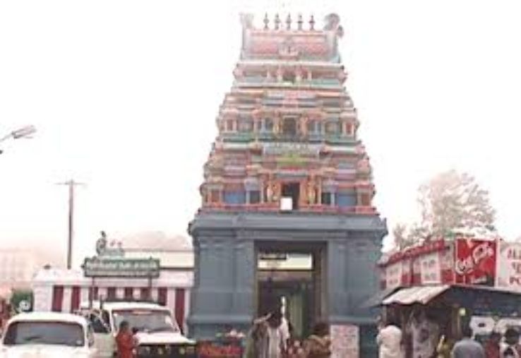 Kurinji Andavar Murugan Temple Trip Packages