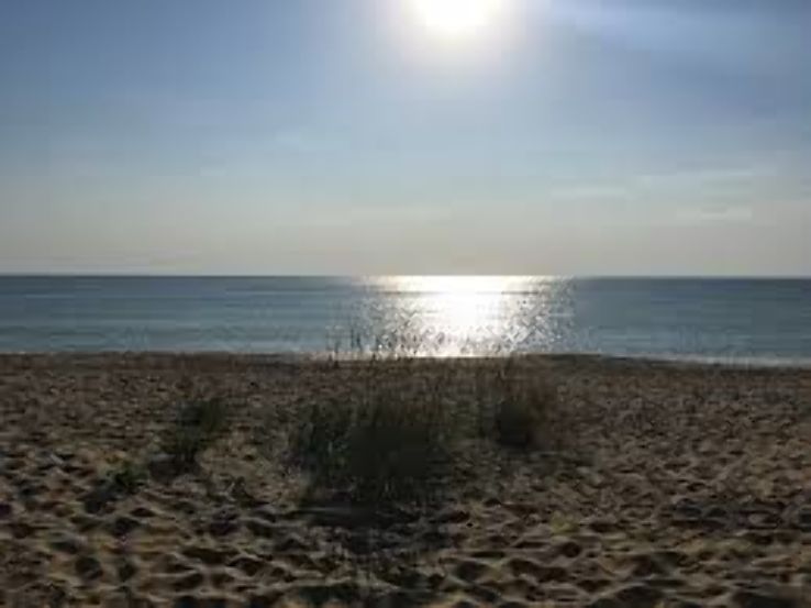 Serenity Beach Trip Packages Serenity Beach Trip Packages