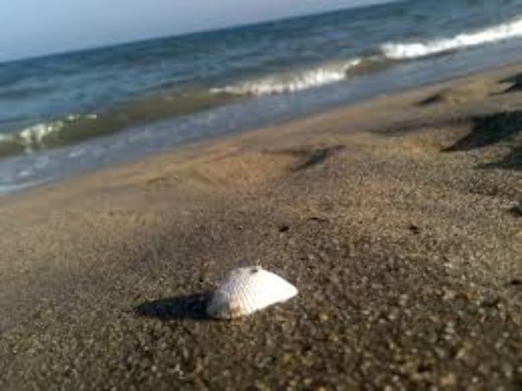 Auroville Beach Trip Packages