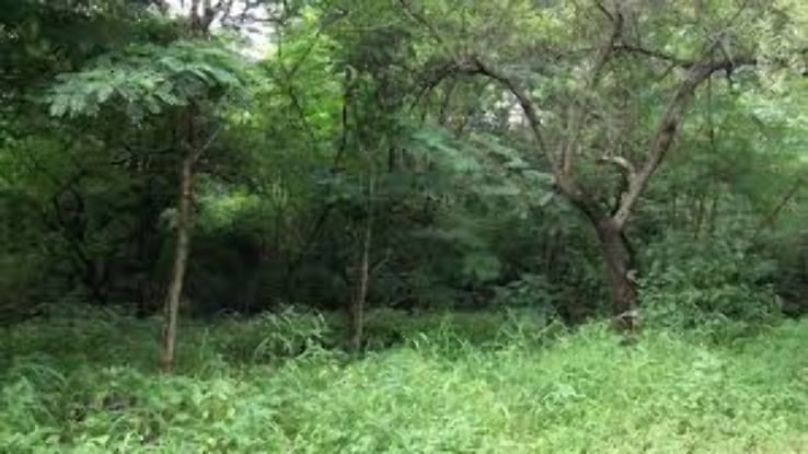 Taljai Hills Trip Packages