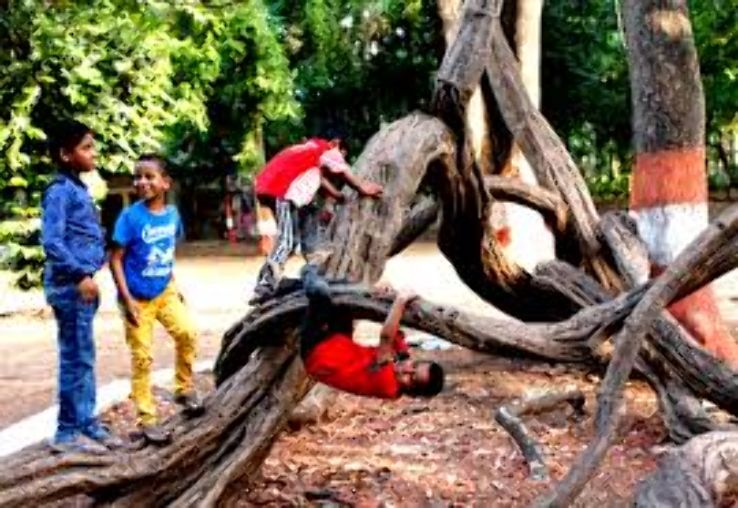 Empress Botanical Garden Trip Packages