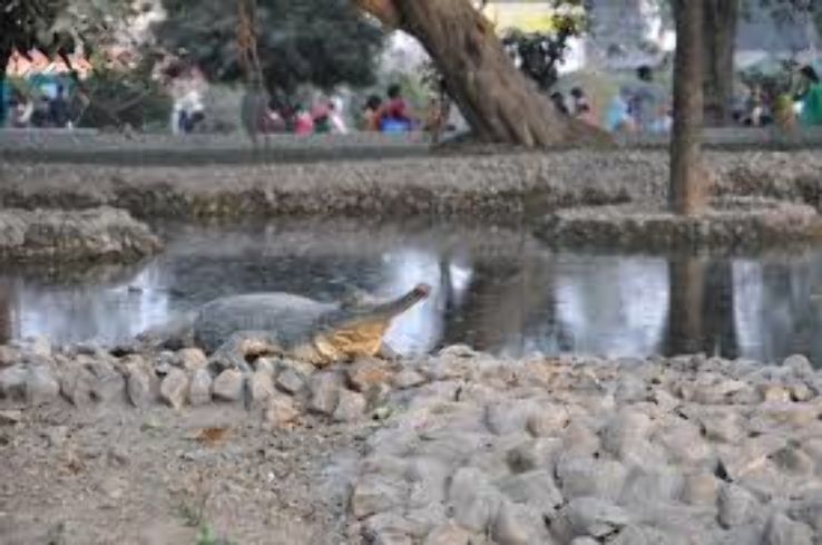 Alipore Zoological Garden Trip Packages