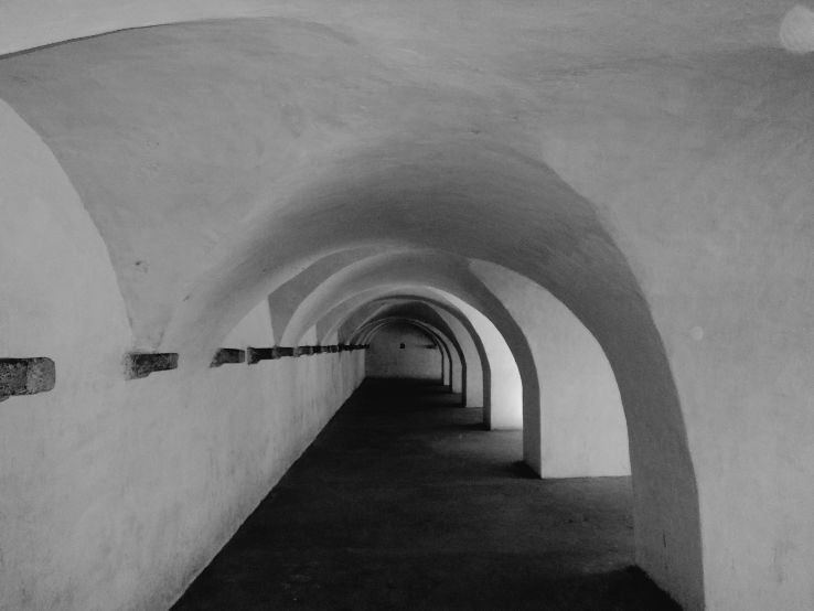 Colonel Baileys Dungeon Trip Packages