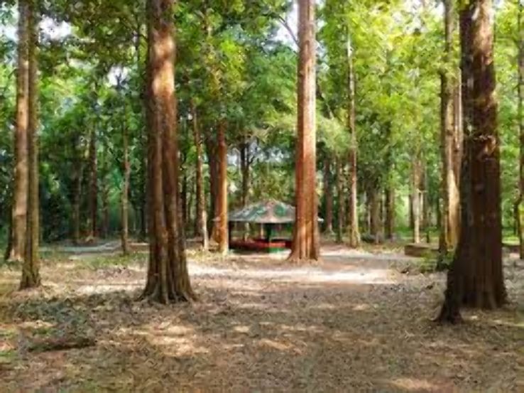 Teak Plantations   Trip Packages