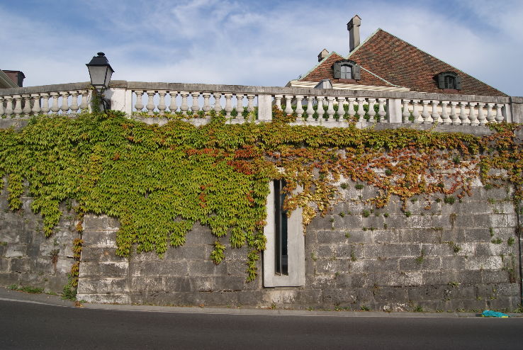 Bodmer Library Museum Trip Packages