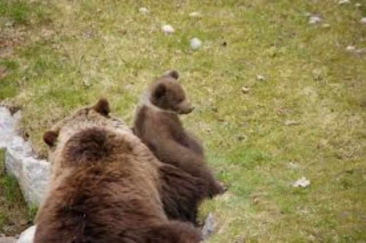 Barengraben Trip Packages Barengraben Trip Packages