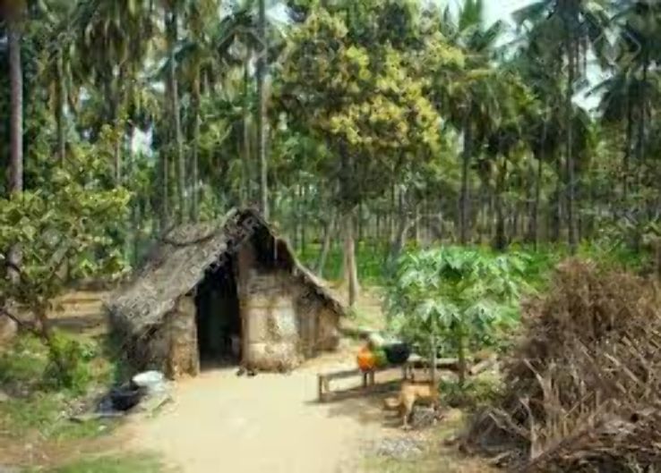 Great Himalayan National Park Trip Packages