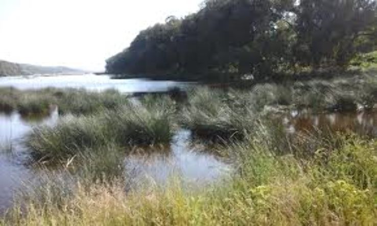 Sidi Boughaba Trip Packages