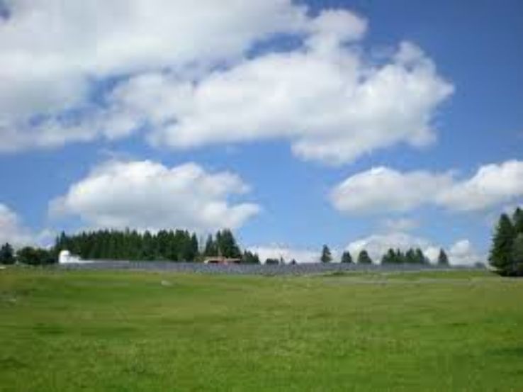 Mont Soleil Trip Packages