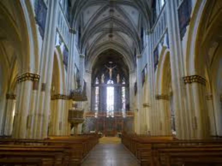 Fribourg Cathedral Trip Packages