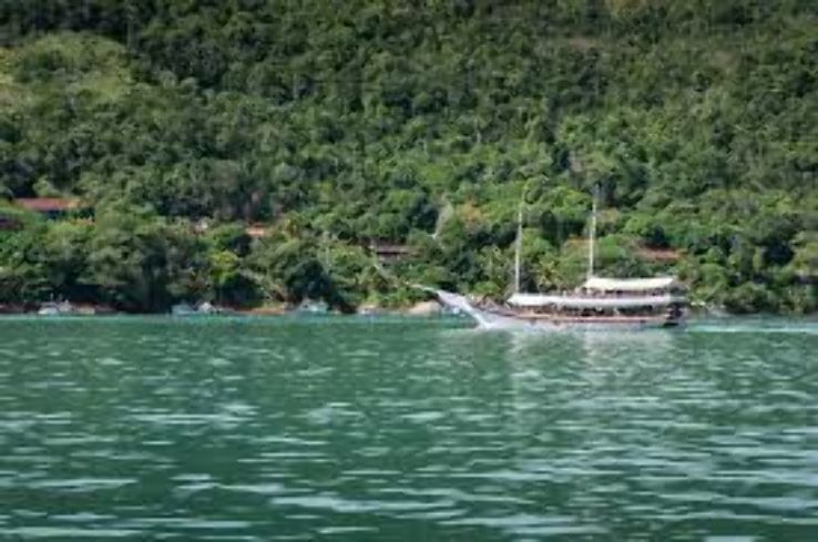 Rio Branco Trip Packages