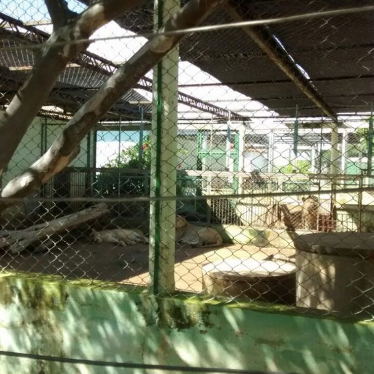 San Francisco Zoo Caninde Trip Packages