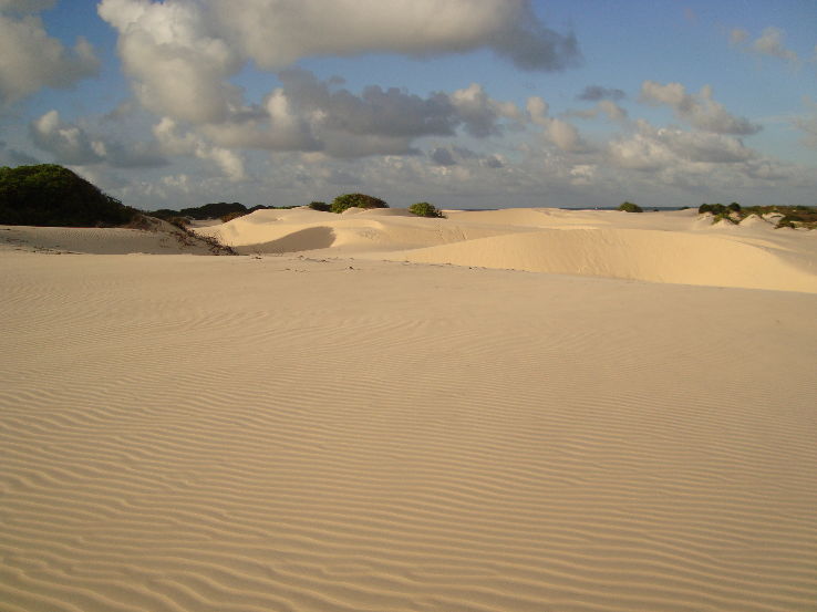 Coroata Trip Packages
