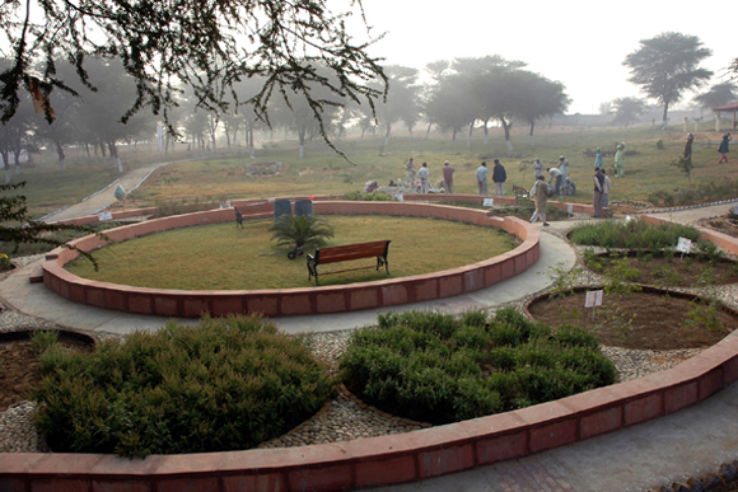 Ch. Surender Singh Memorial Herbal Park Trip Packages