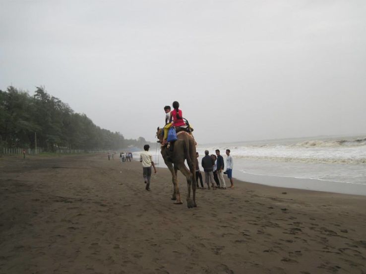 Dahanu Trip Packages