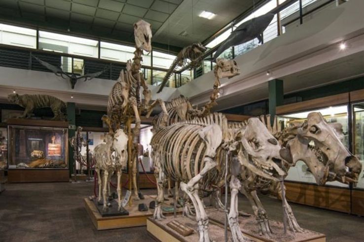 Zoology Museum Trip Packages