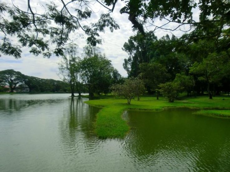 Taiping Lake Gardens Trip Packages