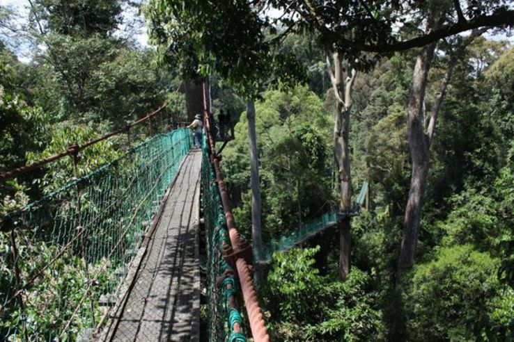 Danum Valley Conservation Area Trip Packages