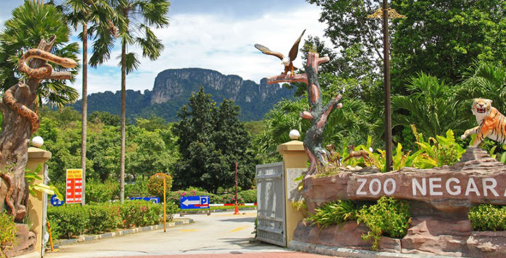 National Zoo  Trip Packages